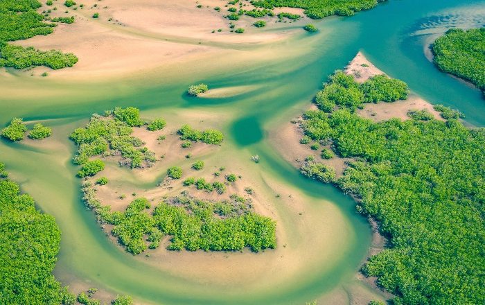 delta-du-Saloum-Senegal-Destinations-10