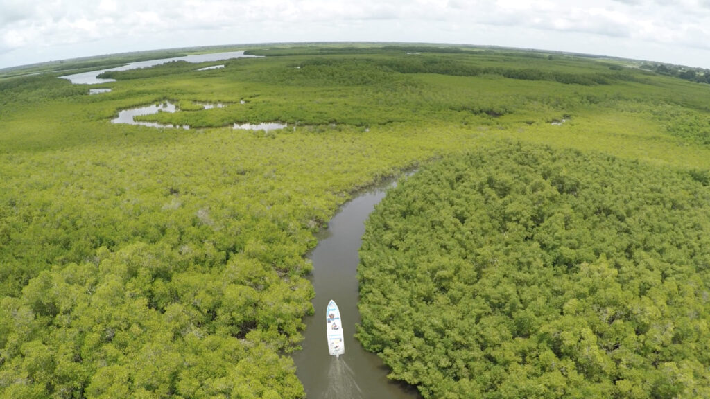 panoramique-sine-saloum